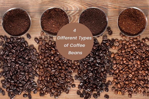Different-Types-of-Coffee-Beans